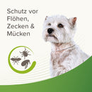 Beaphar Zecken- & Flohschutz Halsband für Hunde Weiß - Fresh Fellow-8711231211265