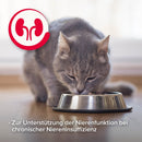 Beaphar Nierendiät Mix Pack - Fresh Fellow - 8711231608843