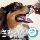 Beaphar Zahngel für Hunde & Katzen