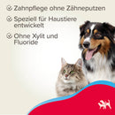 Beaphar Zahngel für Hunde & Katzen