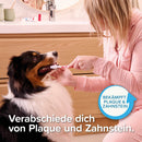 Beaphar Zahnpasta für Hunde & Katzen