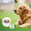 Beaphar Zecken- & Flohschutz Halsband für Hunde Beige - Fresh Fellow-8711231631568