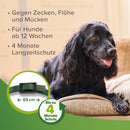 Beaphar Zecken- & Flohschutz Halsband für Hunde Grün - Fresh Fellow-8711231437917