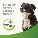 Beaphar Zecken- & Flohschutz Halsband für Hunde Grün - Fresh Fellow-8711231437917