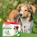 Beaphar Zecken- und Flohschutz SPOT-ON für kleine Hunde - Fresh Fellow-8711231438464