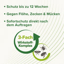 Beaphar Zecken- und Flohschutz SPOT-ON für Katzen - Fresh Fellow-8711231438488