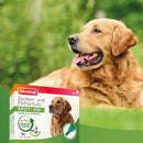 Beaphar Zecken- und Flohschutz SPOT-ON für große Hunde - Fresh Fellow-8711231438471
