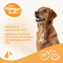 Beaphar Hunde Shampoo für Braunes Fell - Fresh Fellow-8711231342143