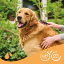 Beaphar Hunde Shampoo für Braunes Fell - Fresh Fellow-8711231342143