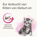 Beaphar Lactol Aufzucht - Milch Katze - Fresh Fellow - 8711231751938