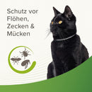 Beaphar Zecken- & Flohschutz Halsband für Katzen Reflektierend - Fresh Fellow-8711231352456