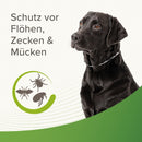 Beaphar Zecken- & Flohschutz Halsband für Hunde Reflektierend - Fresh Fellow-8711231352463
