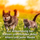 Beaphar Zeckenstift - Fresh Fellow - 8711231375042