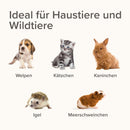 Beaphar Lactol Aufzucht Set (Flasche, Bürste & Sauger) - Fresh Fellow - 5021284376716