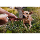 Green Petfood VeggieDog Denties with Tapioca - Fresh Fellow - 4032254791348