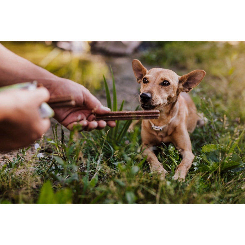 Green Petfood VeggieDog Denties with Tapioca - Fresh Fellow - 4032254791348