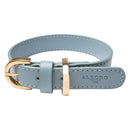 Alecoo Hundehalsband Classy Ice Gold - Fresh Fellow - 4262442660259