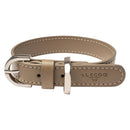 Alecoo Hundehalsband Classy Sand Silber - Fresh Fellow - 4262442660600