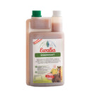 Ewalia Shakingsaft - Fresh Fellow - 9120088911041