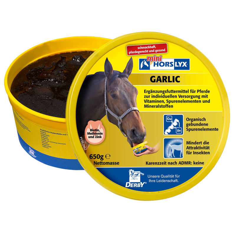 Horslyx Leckmasse Garlic