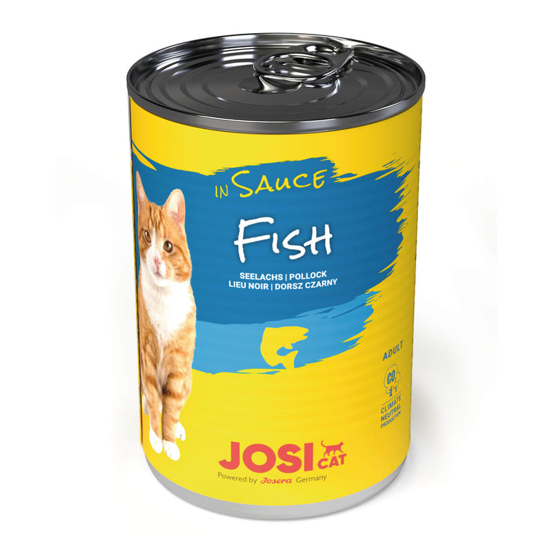 JosiCat Fish in Sauce