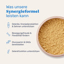 Mammaly Grünlippmuschel + MSM Pulver - Fresh Fellow-4262358683793