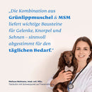 Mammaly Grünlippmuschel + MSM Pulver - Fresh Fellow-4262358683793