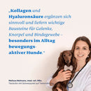 Mammaly Kollagen + Hyaluronsäure Pulver - Fresh Fellow-4262358683830