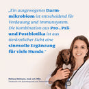 Mammaly Probiotika + Prä- & Postbiotika Pulver - Fresh Fellow-4262358683809