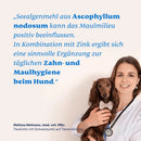 Mammaly Seealge + Zink Pulver - Fresh Fellow-4262358683823