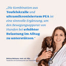 Mammaly Teufelskralle + PEA Tabletten - Fresh Fellow-4262358683847