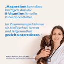 Mammaly Vitamin B Complete + Magnesium Tabletten - Fresh Fellow-4262358683816