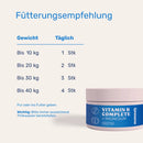 Mammaly Vitamin B Complete + Magnesium Tabletten - Fresh Fellow-4262358683816