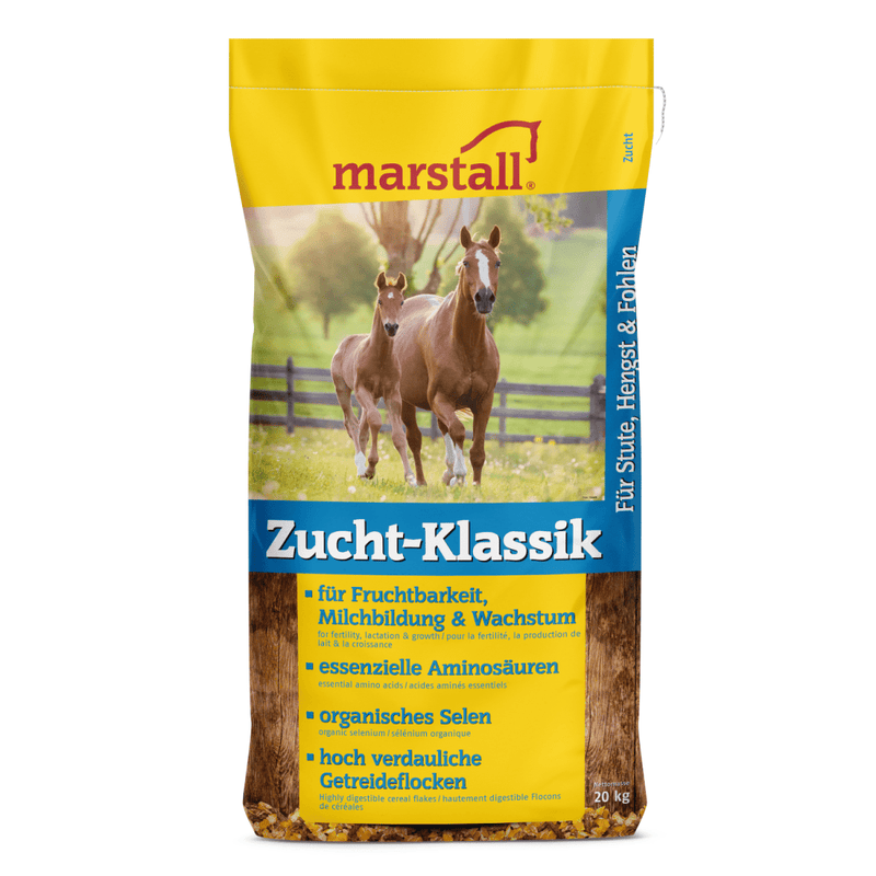 Marstall Zucht - Klassik - Fresh Fellow - 4250006305807
