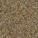 Nösenberger Fenchelsaat - Fresh Fellow - 4250128602327