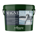 St. Hippolyt Magnesium B12 - Fresh Fellow - 4042215158165