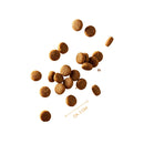 VEGDOG Farmer's Crunch - Fresh Fellow-4260446692122