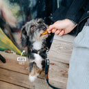 VEGDOG Jerkeys - Fresh Fellow - 4260446690326