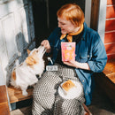 VEGDOG Pops - Fresh Fellow - 4260446690302