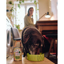 VEGDOG Senior Erbsen & Hirse - Fresh Fellow - 4260446690128