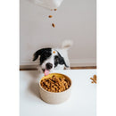 VEGDOG Simply Crunch - Fresh Fellow - 4260446691286