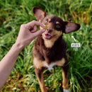 VEGDOG Veggies Immune - Fresh Fellow - 4260446690340