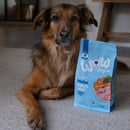WOW Dog Adult Huhn mit Spinat & Cranberries - Fresh Fellow - 9120063683086