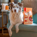 WOW Dog Adult Lachs mit Spinat & Süßkartoffel - Fresh Fellow - 9120063683079