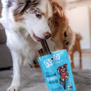WOW Dog Natural Dentals Maxi - Fresh Fellow - 9120063685554