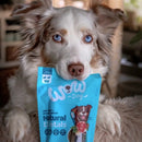 WOW Dog Natural Dentals Maxi - Fresh Fellow - 9120063685554