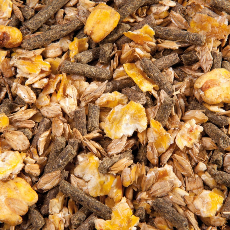 Eggersmann EMH Cool Müsli - Fresh Fellow - 4029862013115