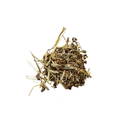 St. Hippolyt Equigard Müsli - Fresh Fellow - 4042215101307