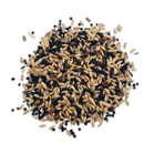 Rudloff Kanarienvogel Basis - Fresh Fellow - 4019024505404