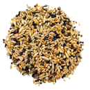 Rudloff Waldvogel Basis - Fresh Fellow - 4019024507903